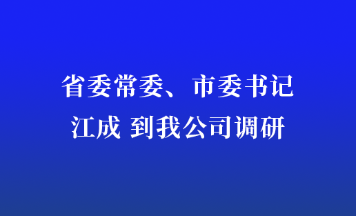 省委常委、市委书记江成到我公司调研